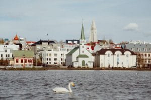 Tjornin in Reykjavik with a swan swimming in the lake