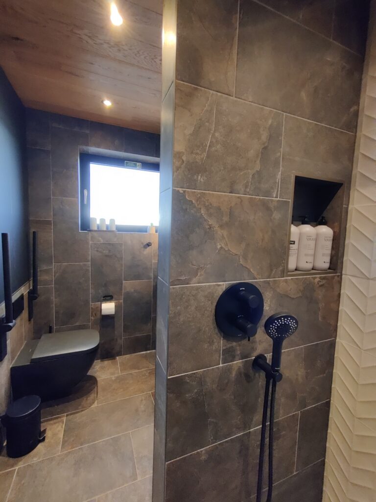 accessible bathroom frigg glass lodge