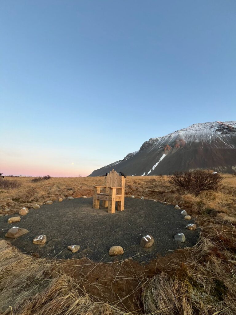 The Arctic Fox: Iceland's Only Native Land Mammal