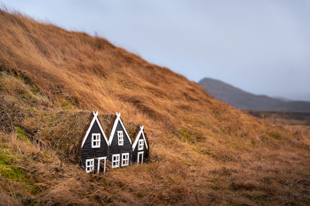 echoes of the old north